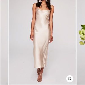 Stone cold fox temptation gown in champagne